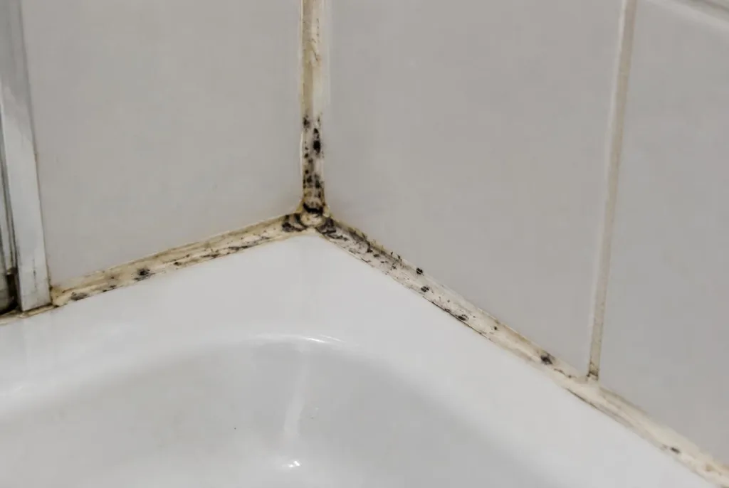 Kitbedrijf Ermelo – beschimmelde kitranden